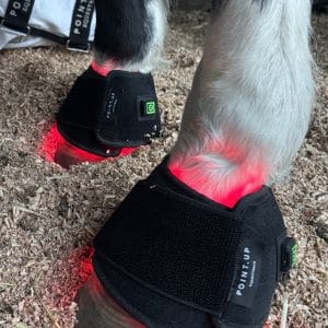 Infrared Laser Bell Boots Set