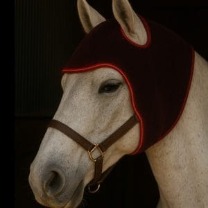 Infrared Laser Poll Cap